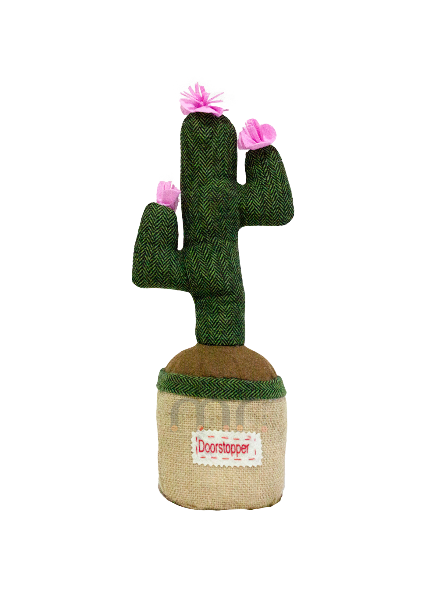 Cacto